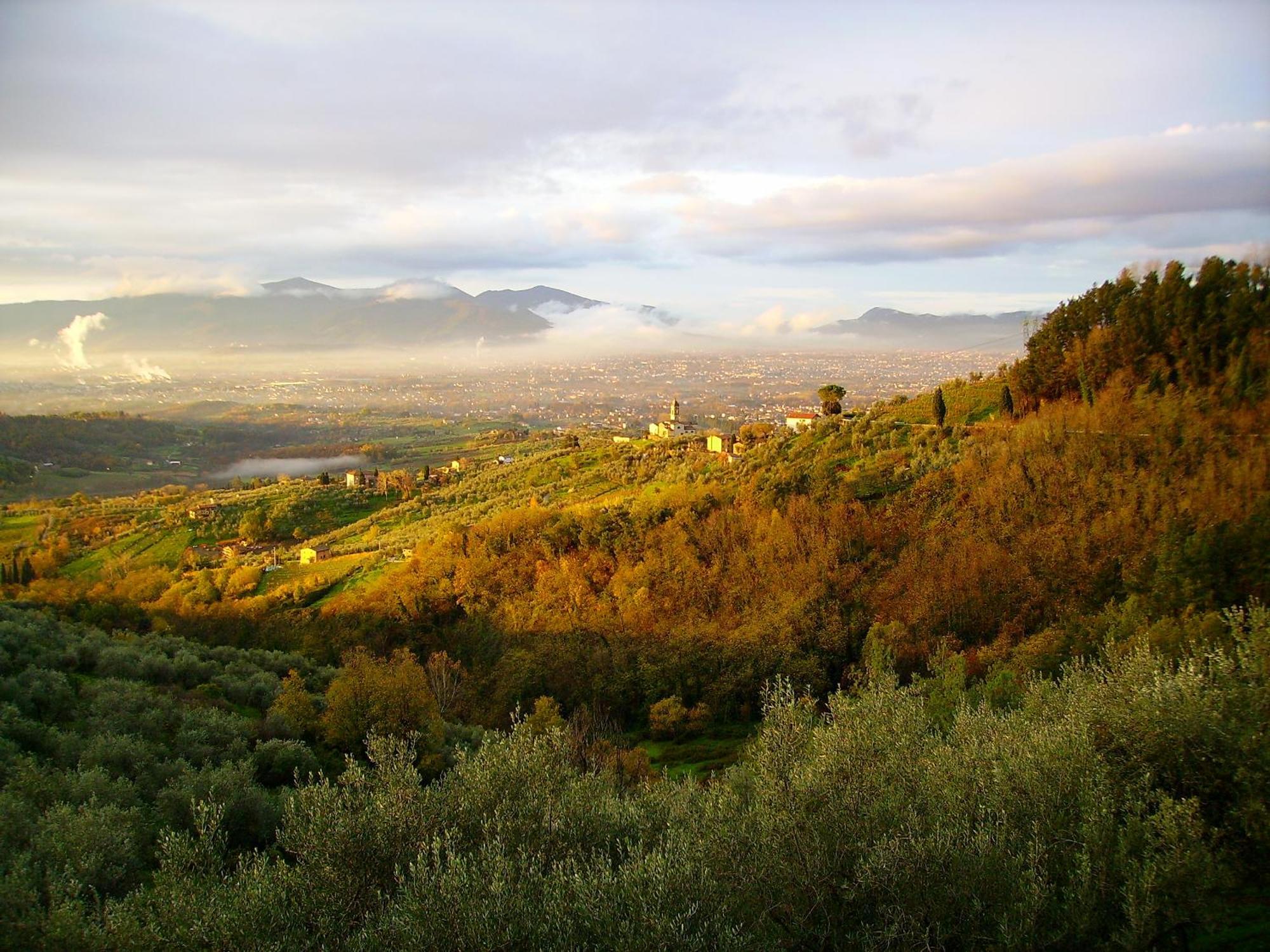 Fattoria Gambaro Di Petrognano Villa Collodi Ngoại thất bức ảnh