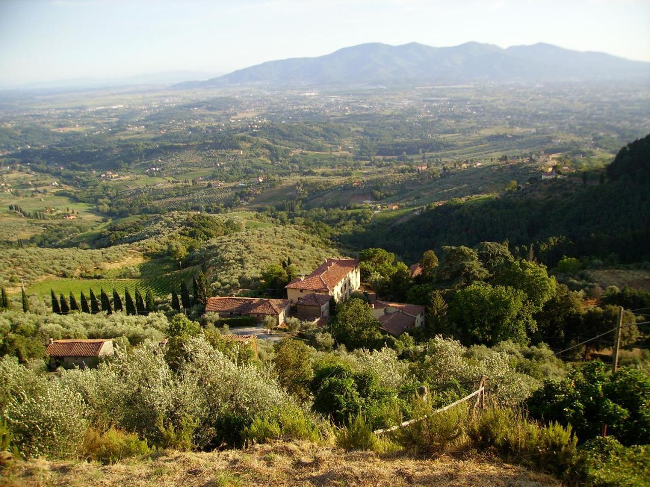 Fattoria Gambaro Di Petrognano Villa Collodi Ngoại thất bức ảnh